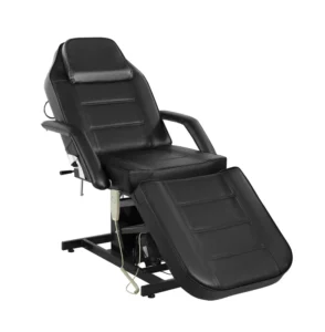 Adjustable Electric Multi Function Beauty Bed Two Motor Massage Bed Modern Design Spa Salon Equipment Comfortable Facial Chair