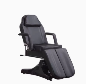 Salon Chair Massage Bed Beauty Bed Pedicure SPA Chair