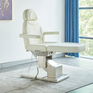 Chair Electric Medical Beauty Dental Chair