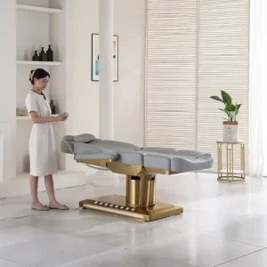 Electric Beauty Facial Bed Fully Functional Chair Electric Wooden Beauty Table De Massage Bed