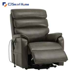 Electric Power Lift Recliner Chair With Vertical Lift For Elderly Care Mobility Assistance & Rehabilitation