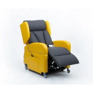 Ergonomic Electric Massage Chair with Reclining and Lifting Functions Dual Motors and Wired Control for Home Use