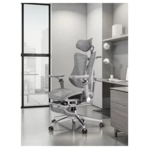 Ergonomic Mesh Office Chair with Dual Back Ergonomic Support
