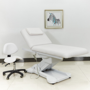 Folding Electric SPA Massage Lift Chair Injection Beauty Recliner
