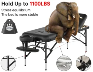 Heavy Duty Medical Treatment Table with Adjustable Height and Features