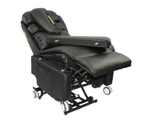 Leisure Full Body Massage Intelligent Toilet Chair Lift for Home