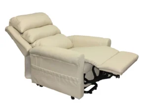 Massage Chair Beauty SPA Pedicure Chair SPA Chair with Massage Function