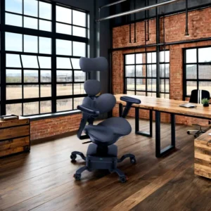 Modern Design Ergonomic Office Chair with Lumbar Support Function for Back Pain Relief