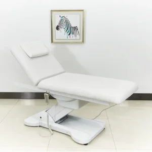 Modern Salon Furniture Set Foldable Adjustable Electric Massage Table Spa Chairs Beauty Salon