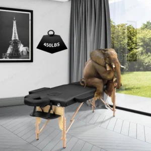 Portable Lash Massage Foldable SPA Tables Adjustable 2 Fold with Non Woven Bag