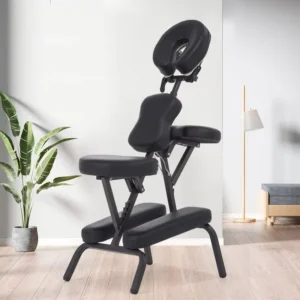 Portable and Foldable Beauty Salon Chair Spa Massage Chair