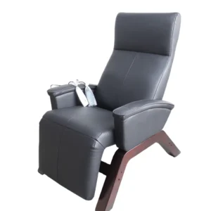 Simple Modern One Seat Zero Gravity Massage Chair with Adjustable Remote Control