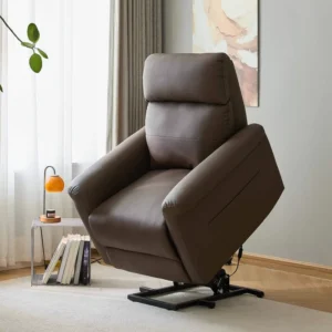 USA Stock 2 4 Days Modern Design Dual Motor Electric Lift Recliner Chair Wood Fabric Upholstery Removable Cover Heating Massage